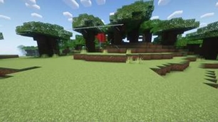 The pack has resource pack compat