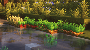 3D Crops Revamped