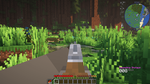 Crocodiles in Swamp