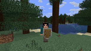 Shield model on third person