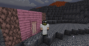 Man next to house.png