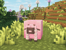 Pink Wooloo