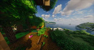 Lot Of New Creatures