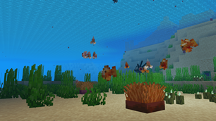 Clownfish around anemones..