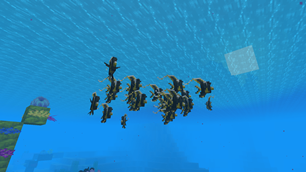 A big school of moorish idols enjoying the sunlight..