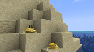 Crabs enjoying the view..