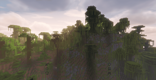 14.png