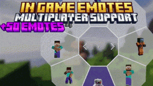 In Game Emotes with MP support.gif