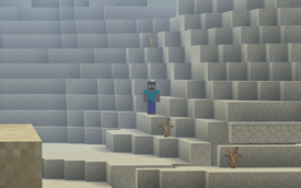 Herobrine in the distance