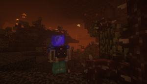 Nether