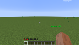 Health bar + health text