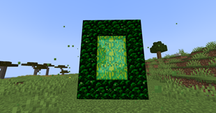 The Spores Portal
