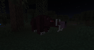 Bunyip