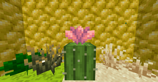 Some Plants and Raw Playron Block