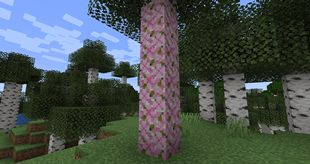 Decorate your stuff with leaves