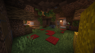 House Inside View