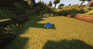 Blue Shell Terrapin