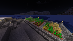 Hemp and other crops on BWT's Planter blocks