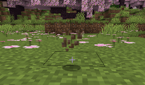 2025-02-13_16-37.png