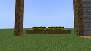 2025-03-07_16.48.43.png