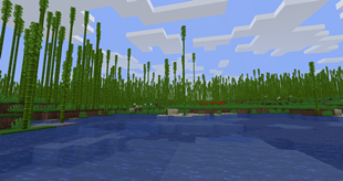 2025-03-06_05.00.18.png
