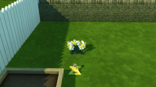 Screenshot 21