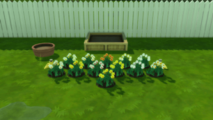 Screenshot 20