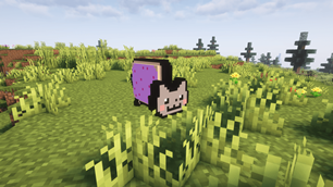 Custom Nyan Cat Model