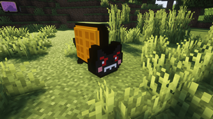 Custom Tac Nayn Model