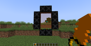 Overxy Portal