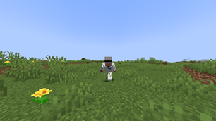 Sprint animation