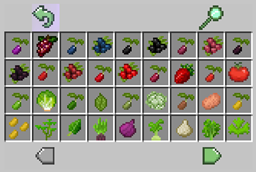 ExoticGarden-Fruits