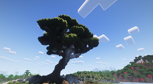 other tree