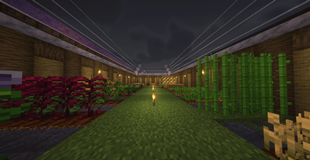 CROPS 1