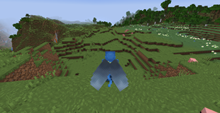 Elytra