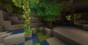 A lush cave
