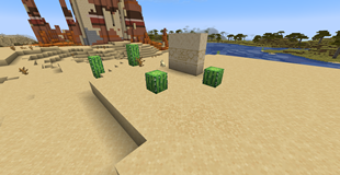 A desert