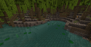 A swamp