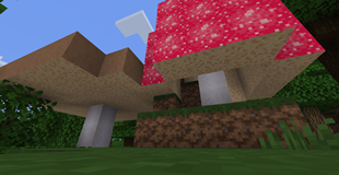 Mushrooms