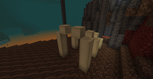 A valley of souls