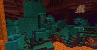 A warped fungal colony