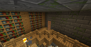 A library