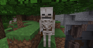 Skeleton