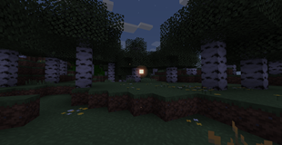 Firefly