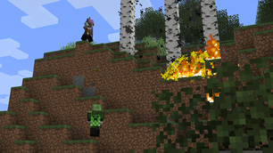 1v1 in Birch Forest