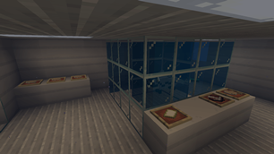 Ice Fin Lab
