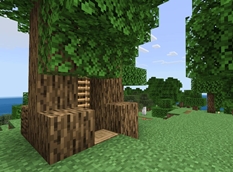 tree ladder to base below.jpeg