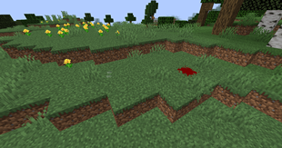 Footprints and a Blood Pool