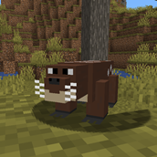 waitoreke.png