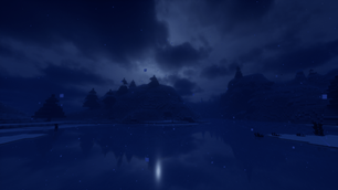 Winter Scenery